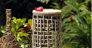 The Bachelor Season 18: Finale & After The Final Rose