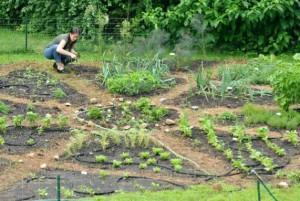 cropcirclegarden