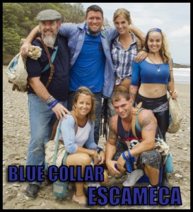 escameca_bluecollar